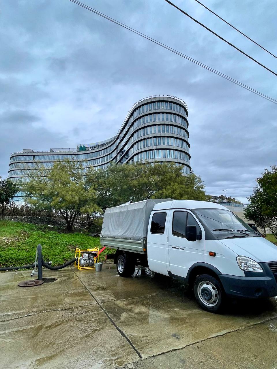 В Олимпийском парке во время обрезки хвойных обнаружили интересный артефакт